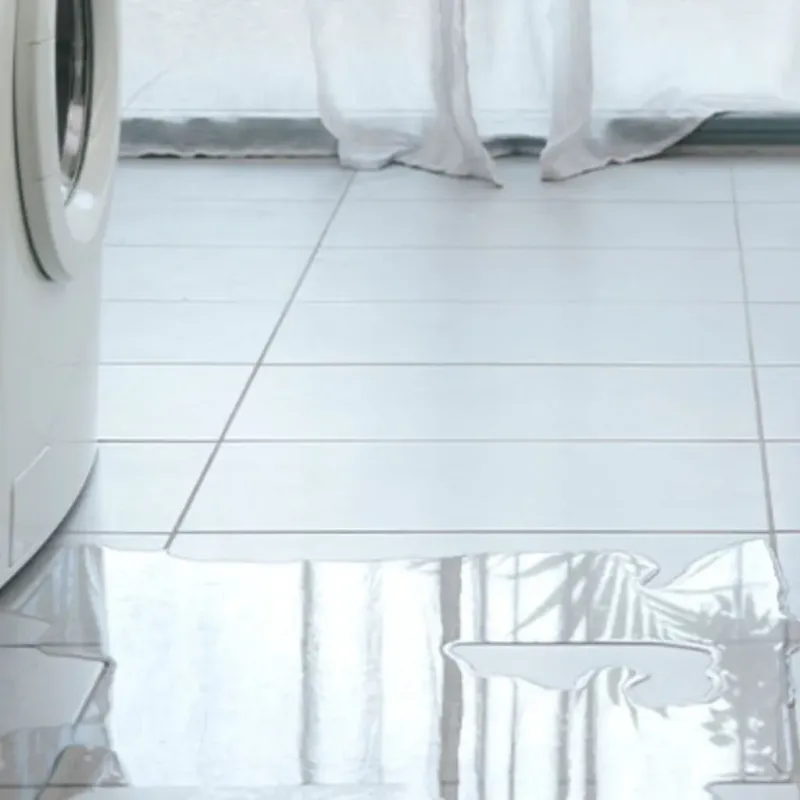 Appliance Leak Cleanup in Belleville, MI