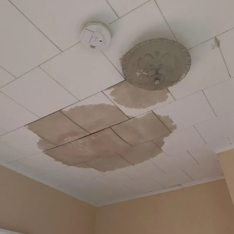Ceiling Water Damage Repair in Belleville, MI