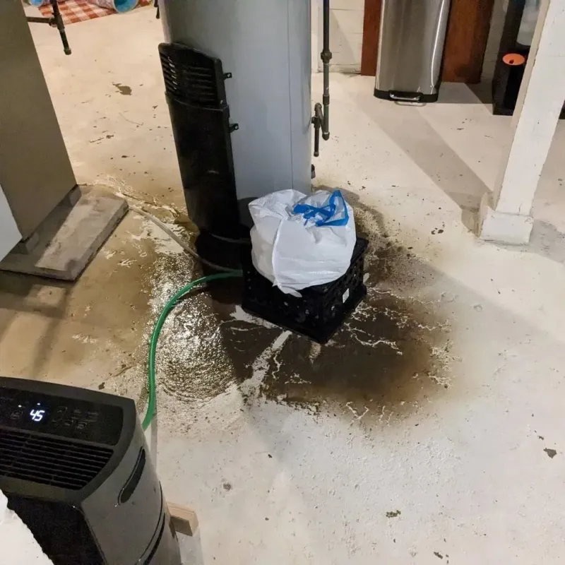Sewage Backup Cleanup Service in Belleville, MI